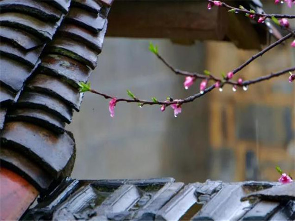 仿古青瓦，青瓦廠家